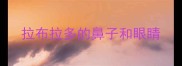 拉布拉多的鼻子和眼睛