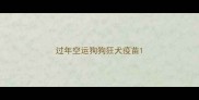 过年空运狗狗狂犬疫苗