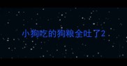 小狗吃的狗粮全吐了