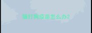 猫打狗疫苗怎么办