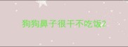 狗狗鼻子很干不吃饭