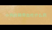小狗拉稀带血吃什么药