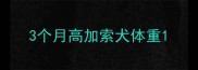3个月高加索犬体重