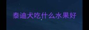 泰迪犬吃什么水果好