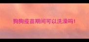 狗狗疫苗期间可以洗澡吗