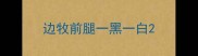 边牧前腿一黑一白