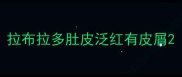 拉布拉多肚皮泛红有皮屑