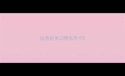 拉布拉多口吻长尺寸