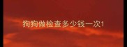 狗狗做检查多少钱一次