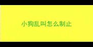 小狗乱叫怎么制止