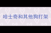 哈士奇和其他狗打架