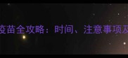 冬季小狗疫苗全攻略时间注意事项及接种误区