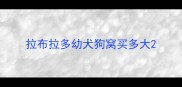 拉布拉多幼犬狗窝买多大