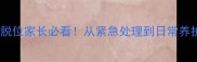 金毛髌骨脱位家长必看从紧急处理到日常养护全攻略
