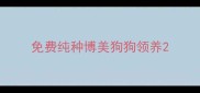 免费纯种博美狗狗领养