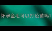 怀孕金毛可以打疫苗吗