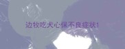 边牧吃犬心保不良症状