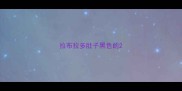 拉布拉多肚子黑色的