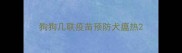 狗狗几联疫苗预防犬瘟热