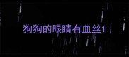 狗狗的眼睛有血丝