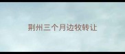 荆州三个月边牧转让