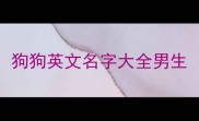 狗狗英文名字大全男生