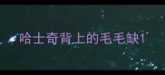 哈士奇背上的毛毛缺
