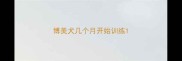 博美犬几个月开始训练
