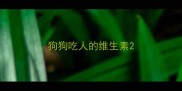 狗狗吃人的维生素