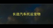 长途汽车托运宠物