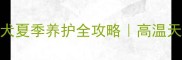黑拉布拉多犬夏季养护全攻略高温天防中暑指南