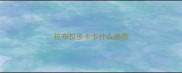 拉布拉多卡卡什么意思