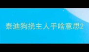 泰迪狗挠主人手啥意思