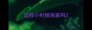 边牧小时候拆家吗