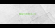 聊城拉布拉多100