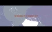 宠物猫饲养与疾病防治