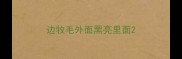 边牧毛外面黑亮里面