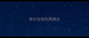 廊坊宠物免费赠送