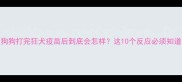 狗狗打完狂犬疫苗后到底会怎样这10个反应必须知道