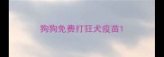 狗狗免费打狂犬疫苗