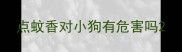 点蚊香对小狗有危害吗