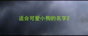 适合可爱小狗的名字
