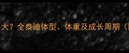 泰迪犬能长多大全泰迪体型体重及成长周期附饲养指南