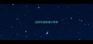 边牧吃啥能增大骨架