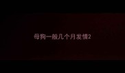 母狗一般几个月发情