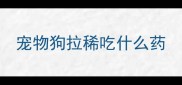 宠物狗拉稀吃什么药