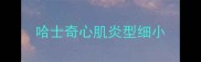 哈士奇心肌炎型细小