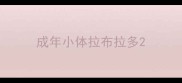 成年小体拉布拉多
