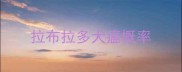 拉布拉多犬瘟概率