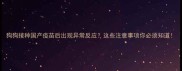 狗狗接种国产疫苗后出现异常反应这些注意事项你必须知道